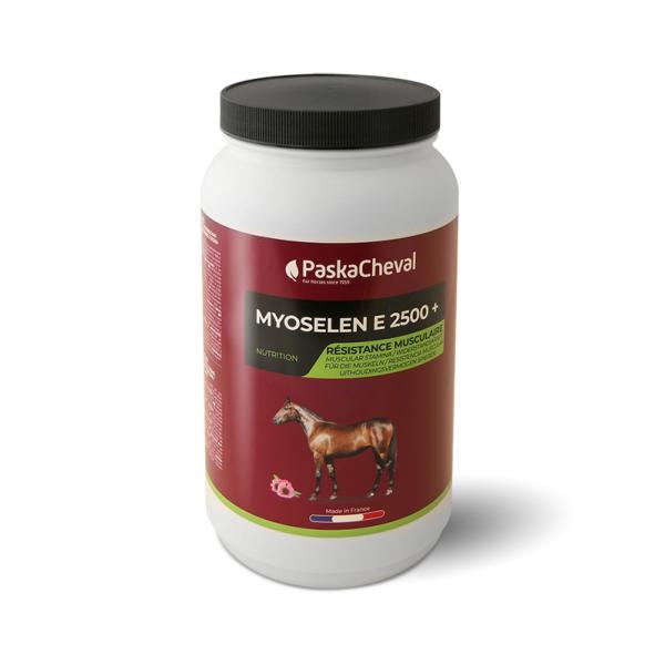 Myoselen pour des chevaux avec une belle musculature 