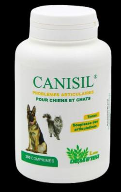 Canisil soulage les raideurs des chats