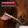 Paskabooster, la seringue de compétition 30ml (promo)