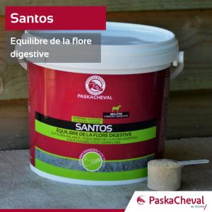 Santos pour une bonne flore intestinale des chevaux