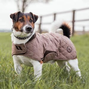 Manteau thérapeutique collection Haze de Back On Track pour Chiens