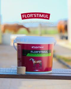 Equi'stop